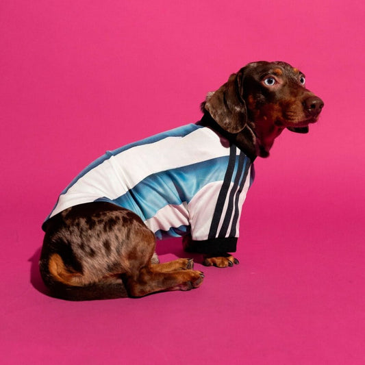 Camiseta para Mascotas  White / Icey Blue