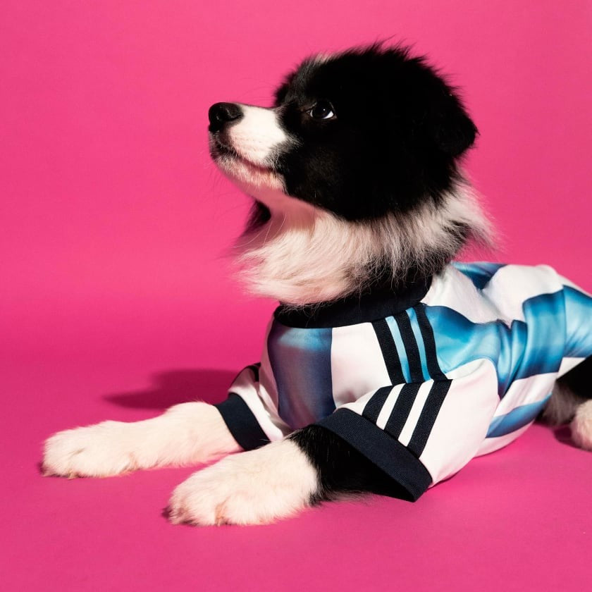Camiseta para Mascotas  White / Icey Blue