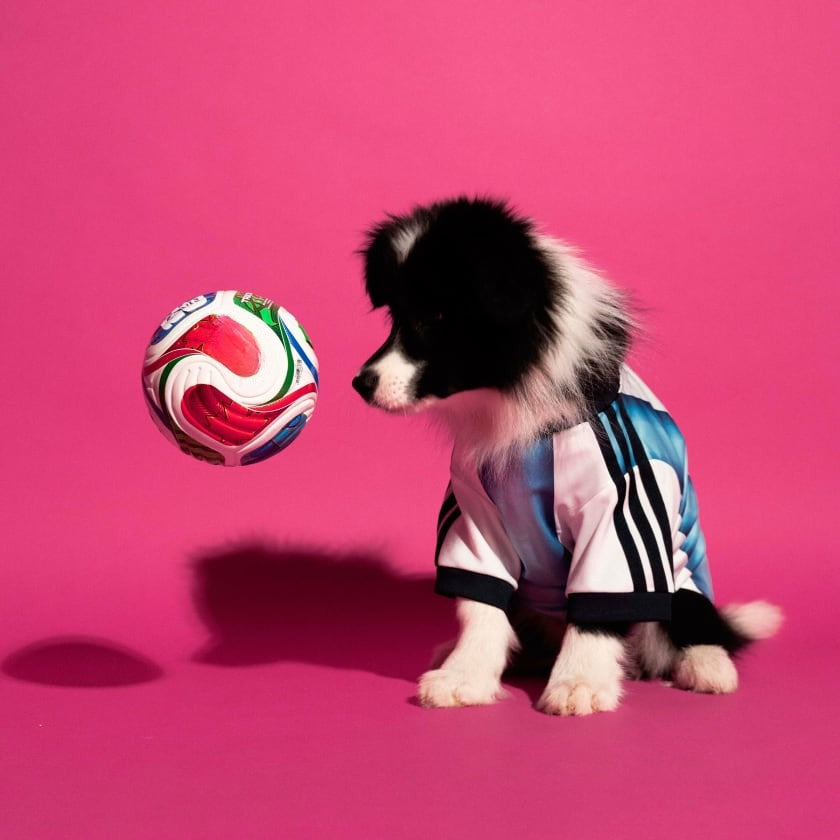 Camiseta para Mascotas  White / Icey Blue