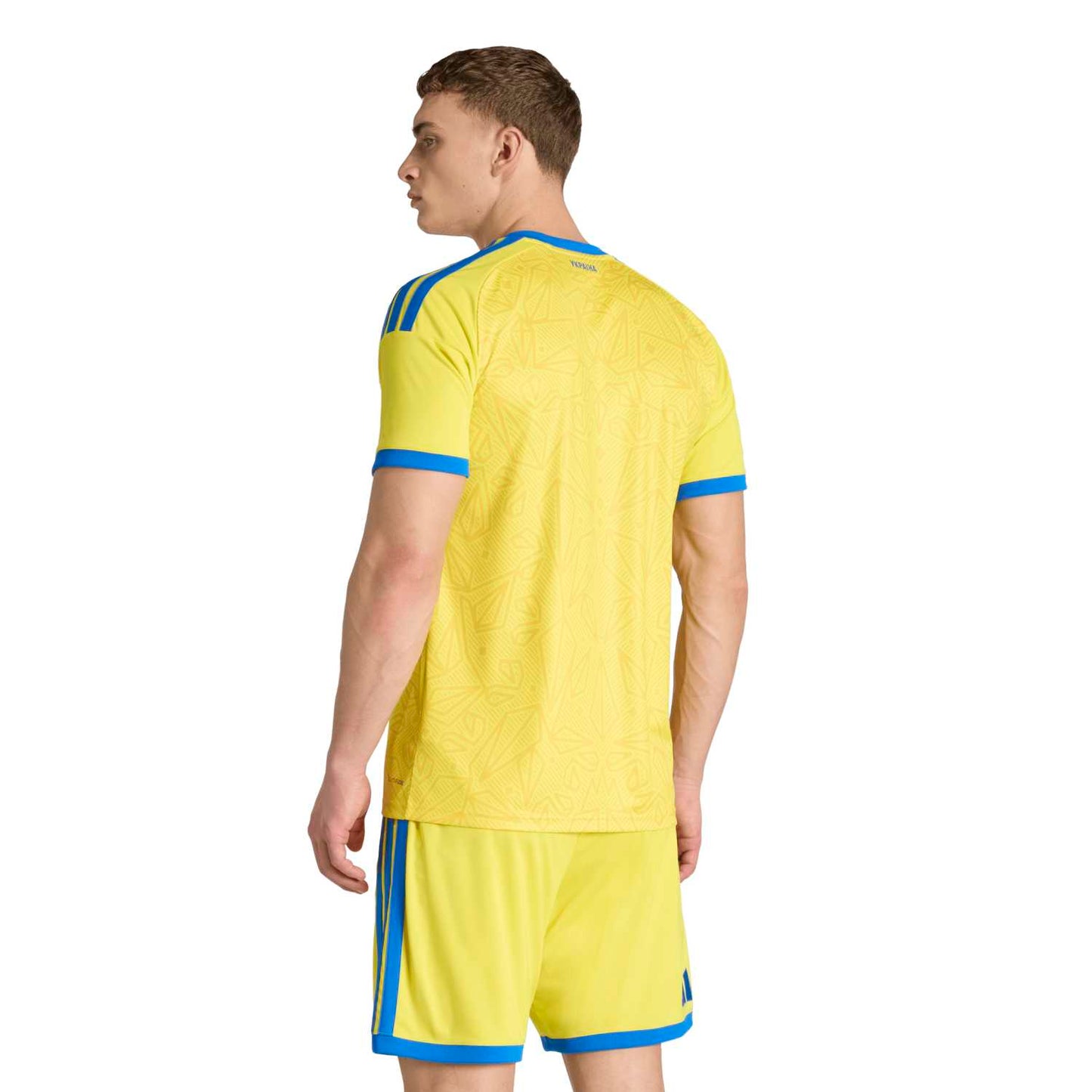 Ukraine 2026 Home